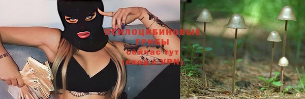 прущие крисы Абдулино
